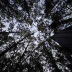 IMG_2339.jpeg