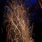 IMG_2589.jpeg
